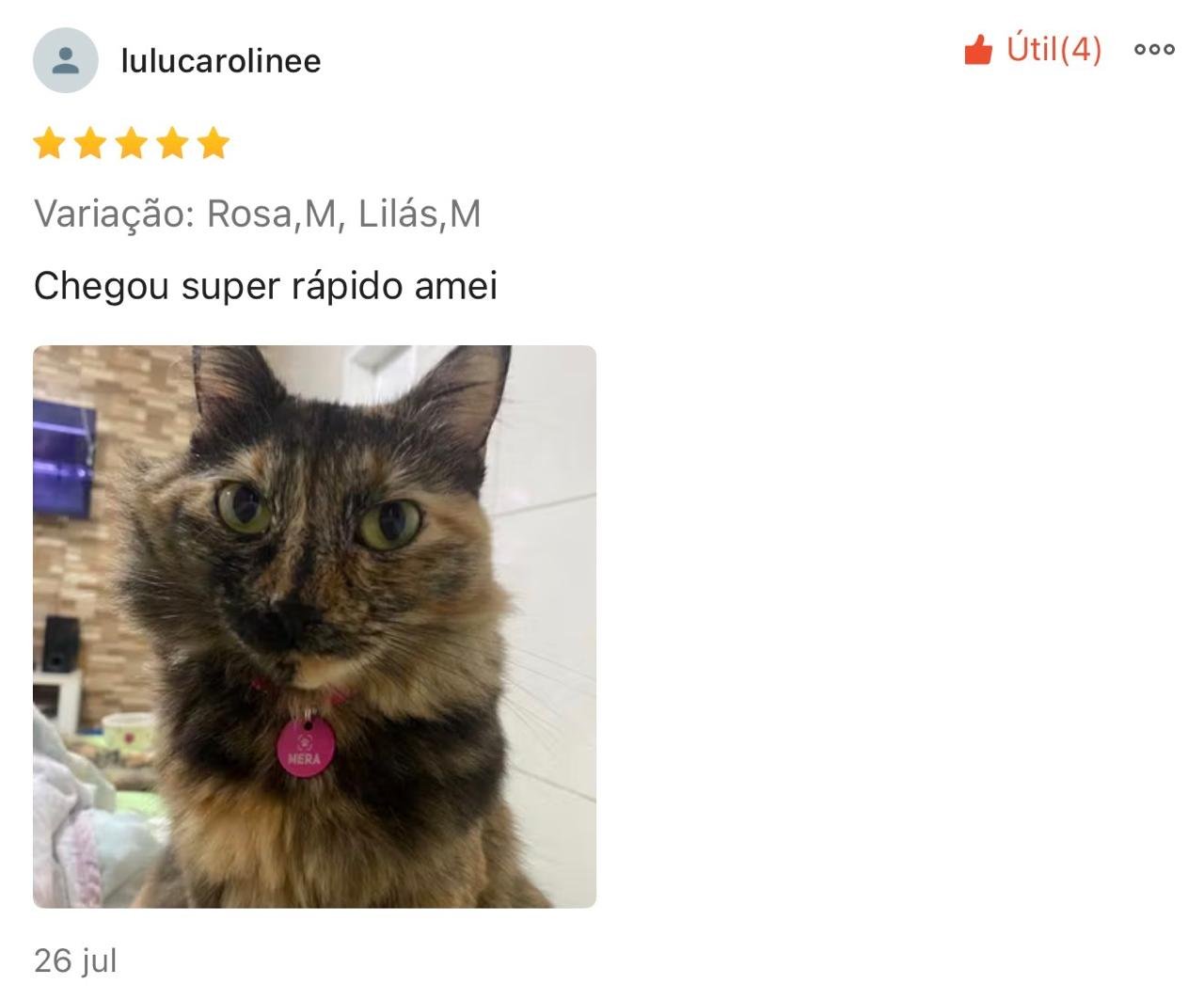 Imagem 12