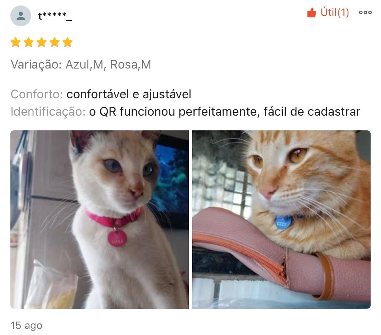 Imagem 15