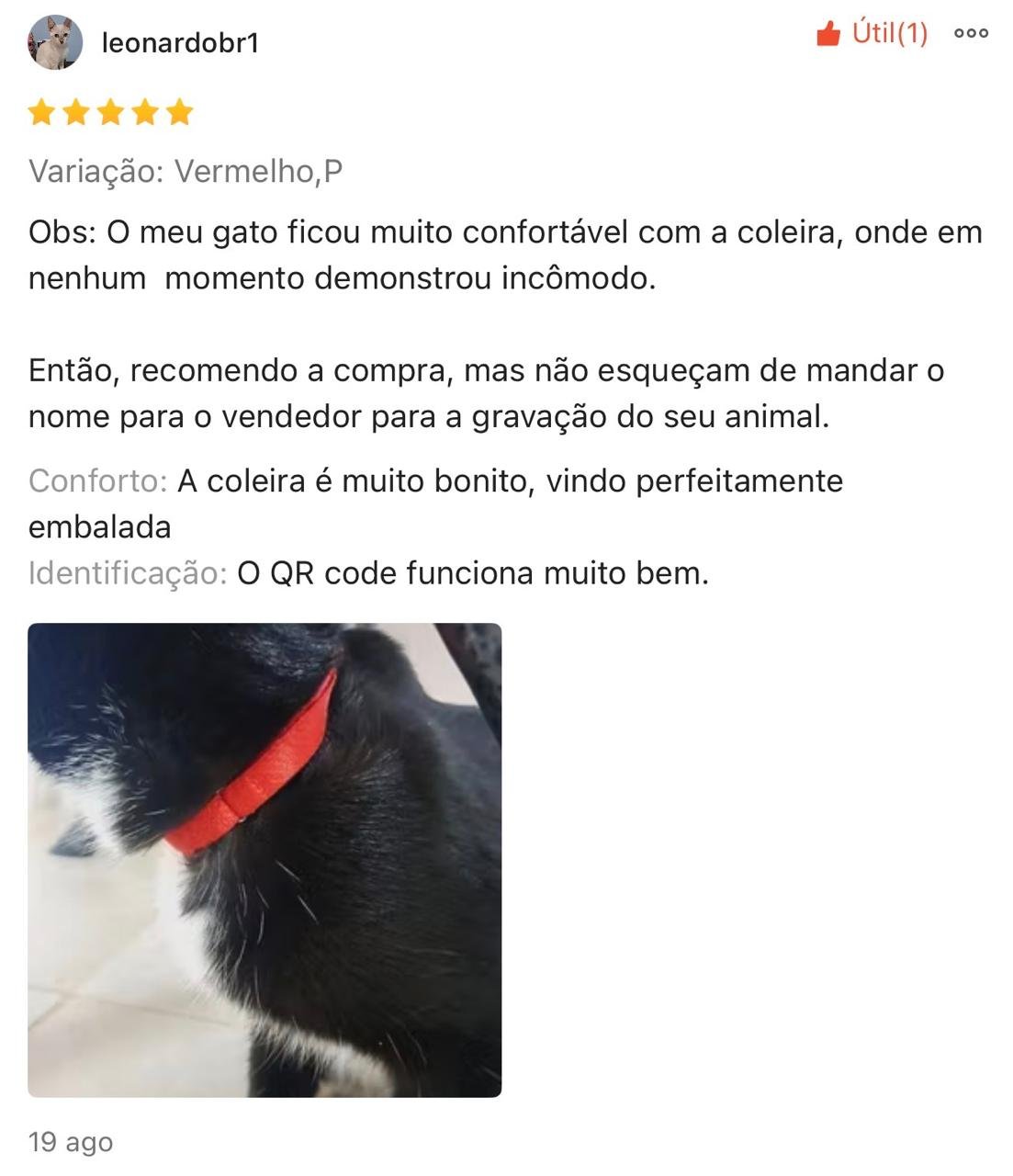 Imagem 16