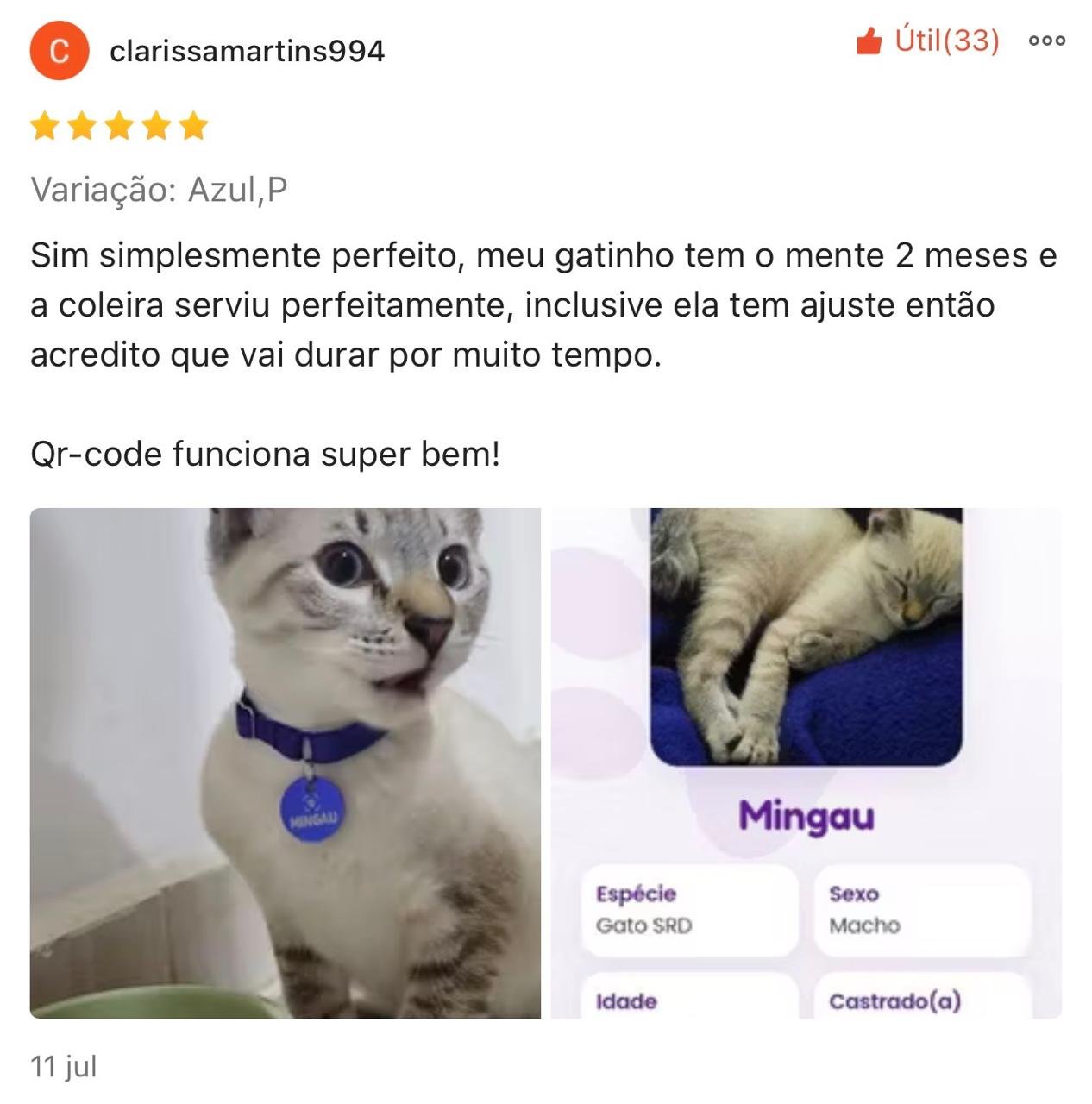 Imagem 17
