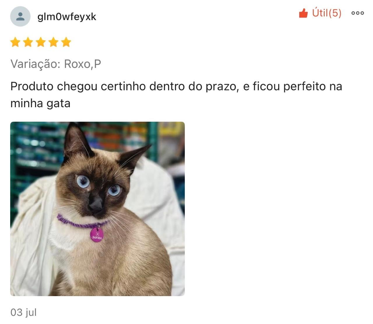 Imagem 4